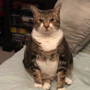 Meet your Posher, Stacie